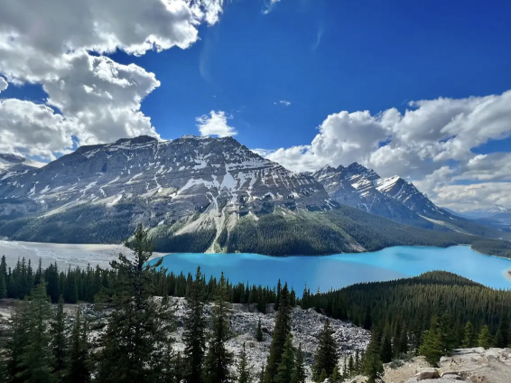 1mi2u224x94mfsdjl0E02.jpg?proc