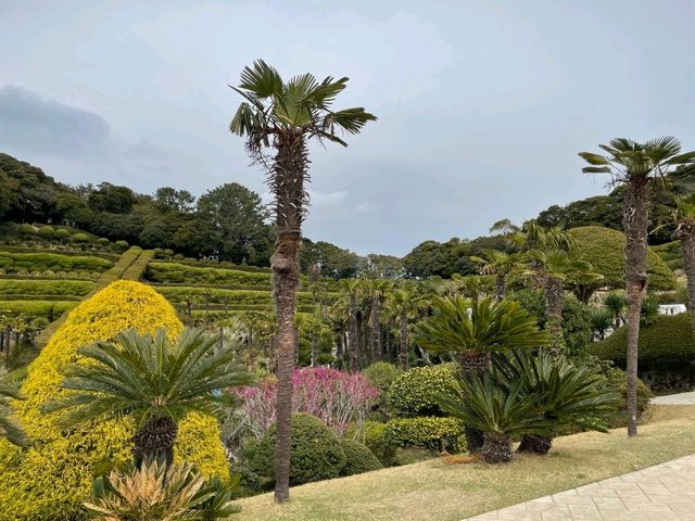 🌿 거제 외도 보타니아 (Oedo Botania)