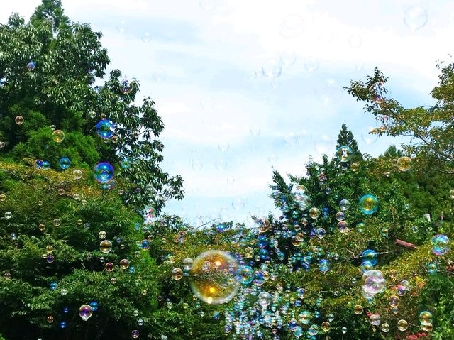 高千穗小火車之旅