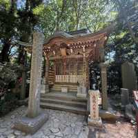 Mount Takao