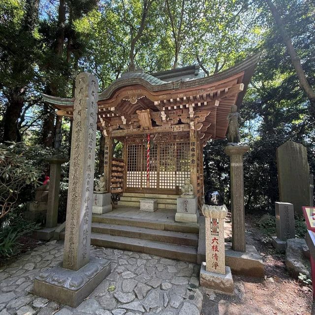 Mount Takao