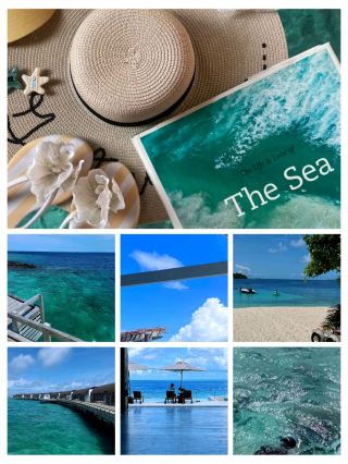 #몰디브호텔
🌊🌴 웨스틴 몰디브 미리안두 리조트 – 파라다이스에서의 웰니스 🌴🌊

유네스코 생물권 보호구역인 바아 환초에 위치한 웨스틴 몰디브 미리안두는 럭셔리, 웰니스, 그리고 자연의 아름다움을 만끽할 수 있는 안식처입니다. 웰빙에 중점을 둔 웨스틴 몰디브 미리안두는 몰디브의 매력과 웨스틴만의 편안함이 완벽하게 조화를 이루는 곳입니다.🌺✨

✨ 하이라이트

🏡 우아한 오버워터 및 비치 빌라, 그리고 많은 빌라가 전용 수영장과 끝없이 펼쳐진 바다 전망을 자랑합니다.

🥗 신선한 해산물, 아시안 퓨전 요리, 그리고 세계 각국의 인기 요리를 선보이는 웰니스 중심의 다이닝

🌿 헤븐리 스파 바이 웨스틴™은 수상에서 활력을 되찾아주는 트리트먼트를 제공합니다.

🧘 웰빙에 집중하세요 - 요가, 명상, 그리고 균형을 위한 피트니스 프로그램

🐢 하니파루 만의 쥐가오리로 유명한 바아 환초 생물권 보호구역 방문 가능.

👨👩👧 키즈 클럽, 쿠킹 클래스, 신나는 수상 어드벤처를 갖춘 가족 친화적인 리조트입니다.

🌅 별빛 아래 즐기는 저녁 식사, 모래톱 피크닉, 선셋 크루즈 등 로맨틱한 경험을 선사합니다.

📍 위치: 몰디브 바아 환초.
🛩️ 교통편: 말레에서 수상 비행기로 40분.
💰 가격: 웰니스 중심의 럭셔리 리조트.
🕒 최적기: 쥐가오리 시즌: 6월~10월, 햇살 시즌: 12월~4월.

💡 웨스틴 몰디브는 단순한 리조트가 아닙니다. 몸과 마음, 그리고 영혼까지 건강하게 가꿔주는 웰니스 파라다이스입니다. 🌊💙.

#웨스틴몰디브 #바아톨 #몰디브럭셔리 #웰니스리트리트 #오버워터빌라 #하니파루베이 #몰디브여행 #섬여행 #열대휴양
#여행 #스테이케이션 #해변생활