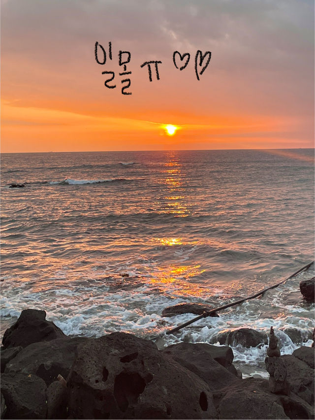 🌴 제주도 여행 – 애월 & 협재 & 비밀의 숲 감성 충전 🌊✨