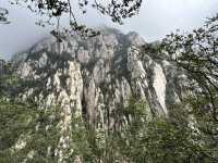 ✨ Henan — A Journey Through Temples, Grottoes & Ancient Capitals