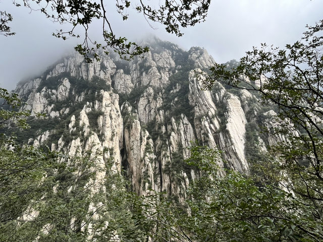 ✨ Henan — A Journey Through Temples, Grottoes & Ancient Capitals