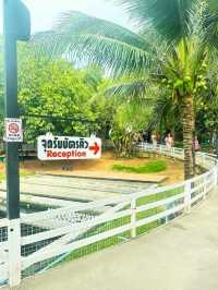 🍰ป้าบุญคาเฟ่5 เป็นมากกว่าร้านอาหารหรือคาเฟ่