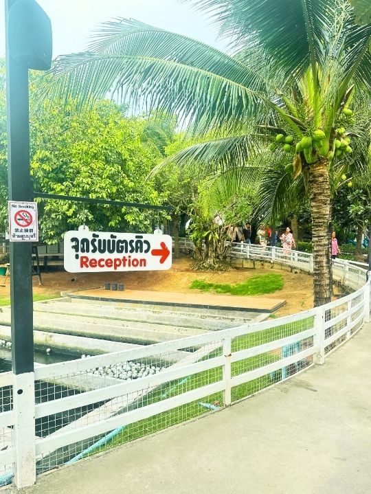 🍰ป้าบุญคาเฟ่5 เป็นมากกว่าร้านอาหารหรือคาเฟ่