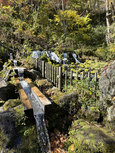 北海道_「京極出水公園Fukidashi park」，能看見羊蹄山絕景的北海道