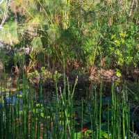 Donabo Gardens – Tangier’s Serene Botanical Refuge Overlooking the Sea