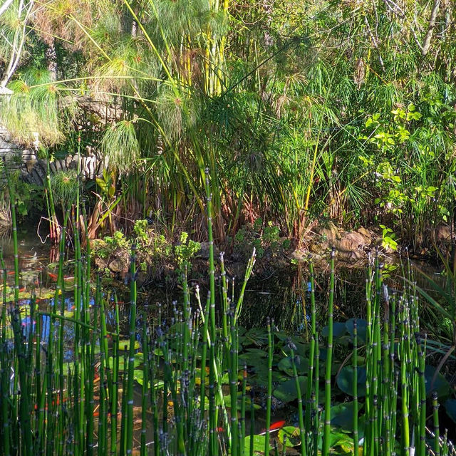 Donabo Gardens – Tangier’s Serene Botanical Refuge Overlooking the Sea
