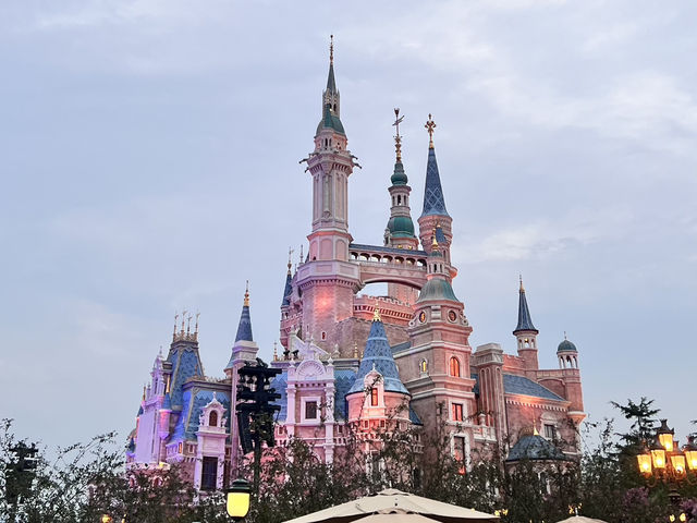 Disney Dream Day✨