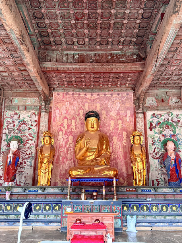 慶州｜金豬傳說佛國寺 快來找藏在牌匾後帶來財運的小豬