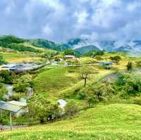 卡通玩偶貓貓蟲咖波及金針花仙子朵拉在六十石山等你同框