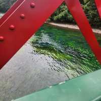 The Christmas-Colored Wonder of Yamasen Bridge in Chitose 🎁🌊