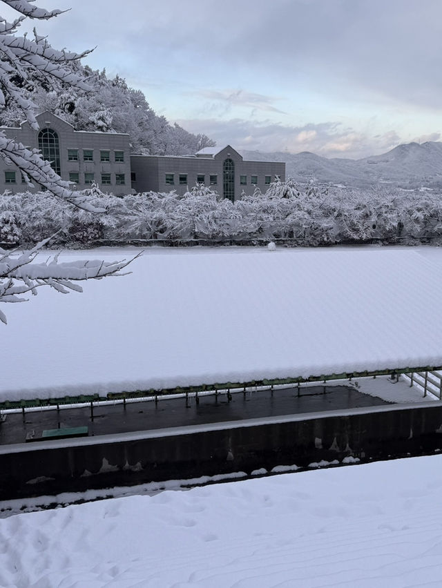 ❄️ 이천 겨울에 가야 하는 이유 ✨