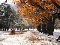สวนสาธารณะเมืองซัปโปโร 🌳🇯🇵