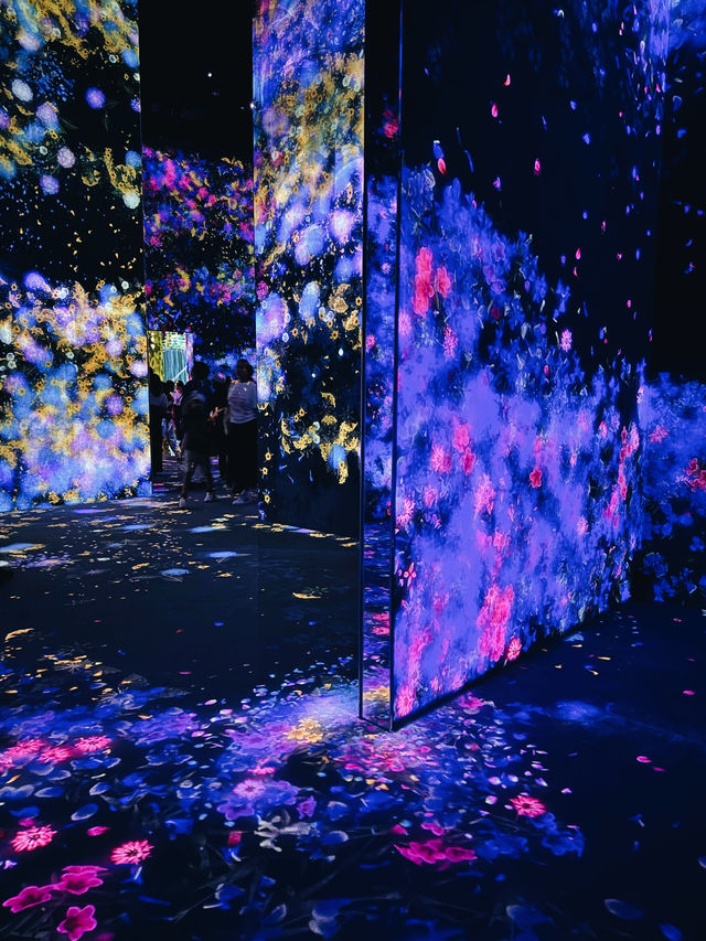 Borderless Escape 🌈 Borderless Escape 🌈