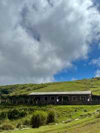 Escape to YangMingShan (QingTiangGang & LengShuiKeng) 🍃🌳