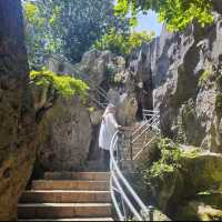 Nature’s Masterpiece at Stone Forest
