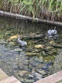 항상 똑같은 여행이 지겹다면? 책과 함께하는 북스테이 추천!