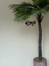 Timo Cafe คาเฟ่เท่ ๆ ใจกลางสาทร ที่สายชิลห้ามพลาด 