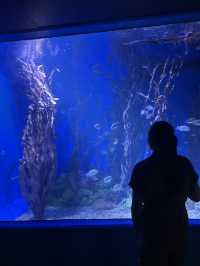 MANILA OCEAN PARK & BIODOME BLISS