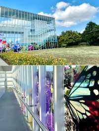 🎨 Art Meets Nature at Kasai Rinkai Park