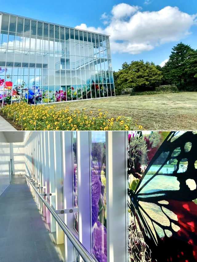 🎨 Art Meets Nature at Kasai Rinkai Park