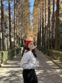 Shanghai Photo Spot 📸