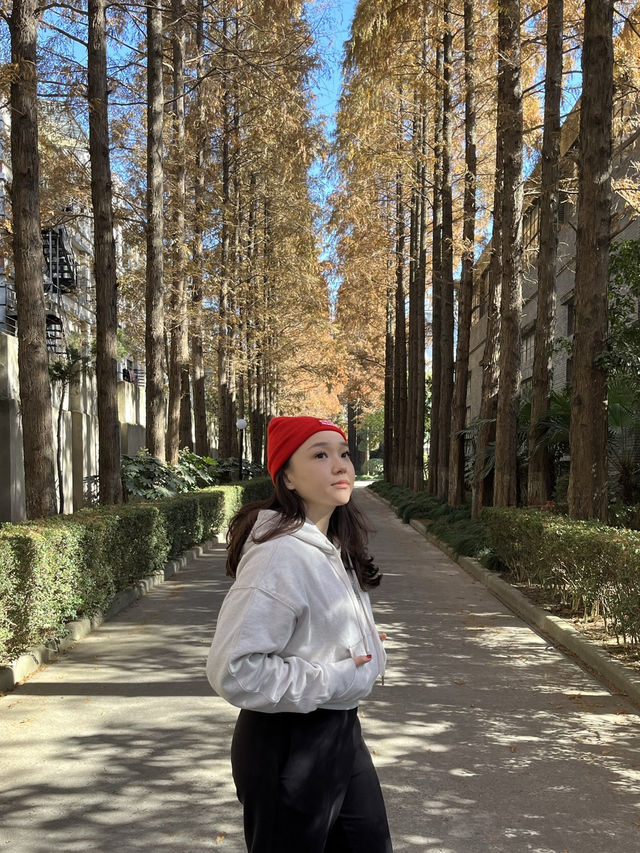 Shanghai Photo Spot 📸