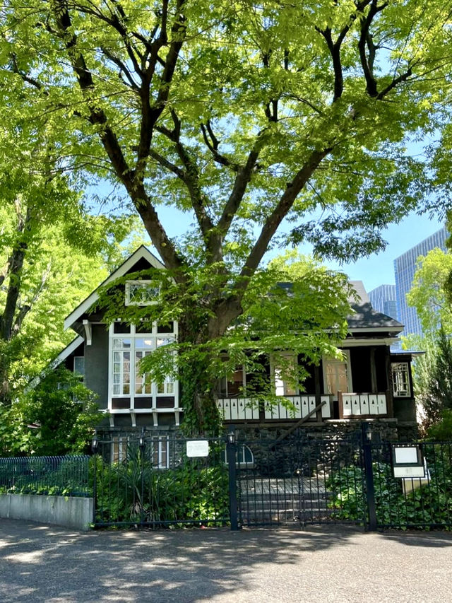 🌸 Bloom & Beauty in Hibiya Park