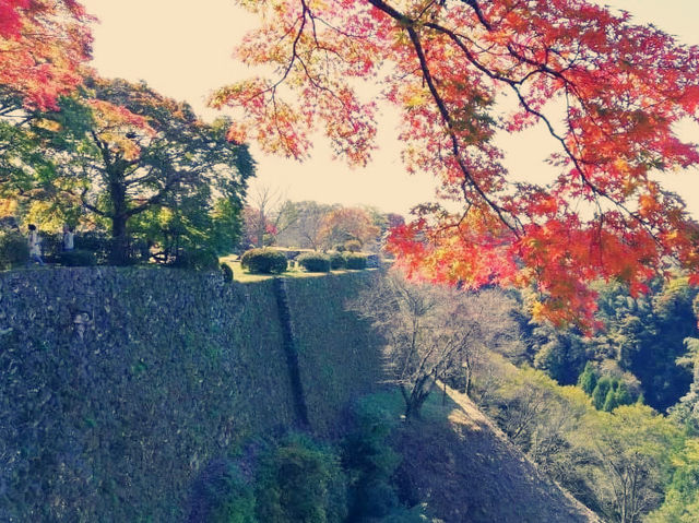 Where the Shogunate Began: My Solo Pilgrimage to Oka Castle