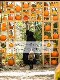 ハロウィンに染まった🎃ニコライバーグマン箱根ガーデン
