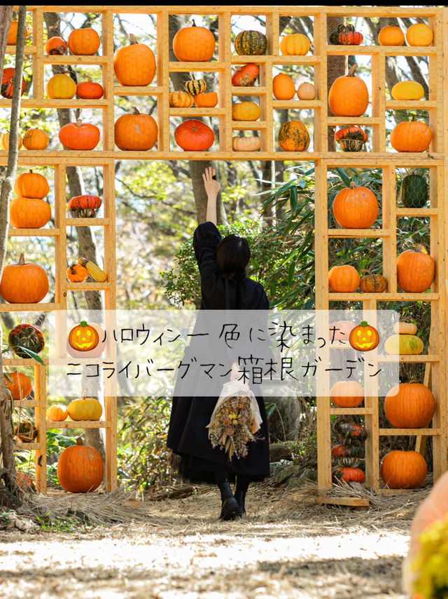 ハロウィンに染まった🎃ニコライバーグマン箱根ガーデン