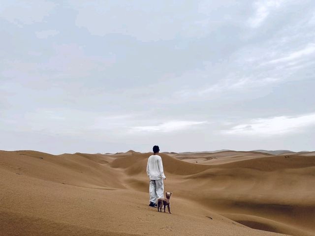 Desert Daydreams✨