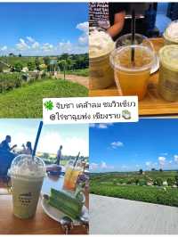 🌿 จิบชา เคล้าลม ชมวิวเขียวที่ไร่ชาฉุยฟง เชียงราย