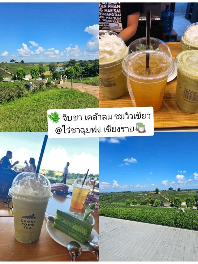 🌿 จิบชา เคล้าลม ชมวิวเขียวที่ไร่ชาฉุยฟง เชียงราย