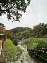 양평이 넓고 볼게 많네요🌿
