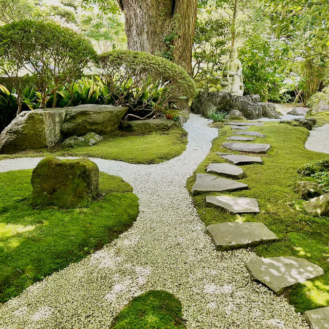 Solo Zen: Finding Peace in Hokokuji's Bamboo Grove