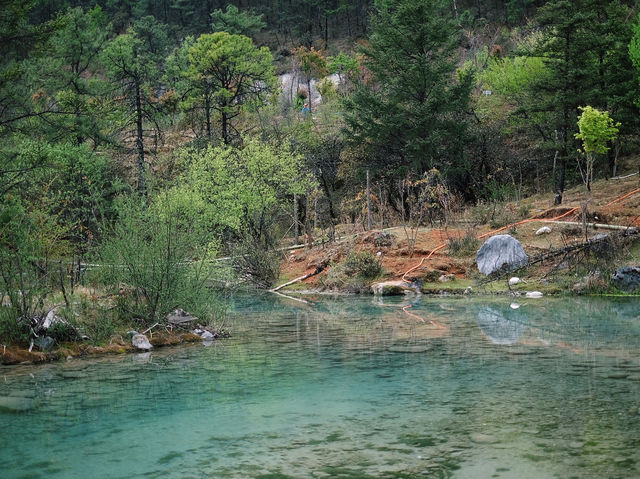 A Stroll Around Blue Moon Valley