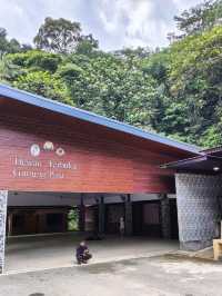 Discover Mount Pulai Escape⛰️Cloudy Pulai Trails