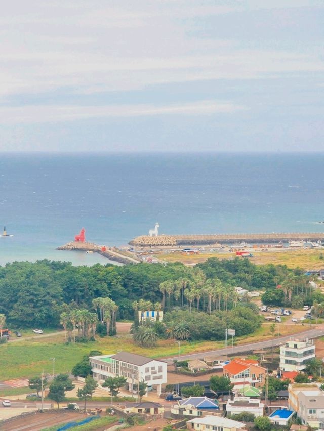 다채로운 매력이 있는 제주도 여행✈️