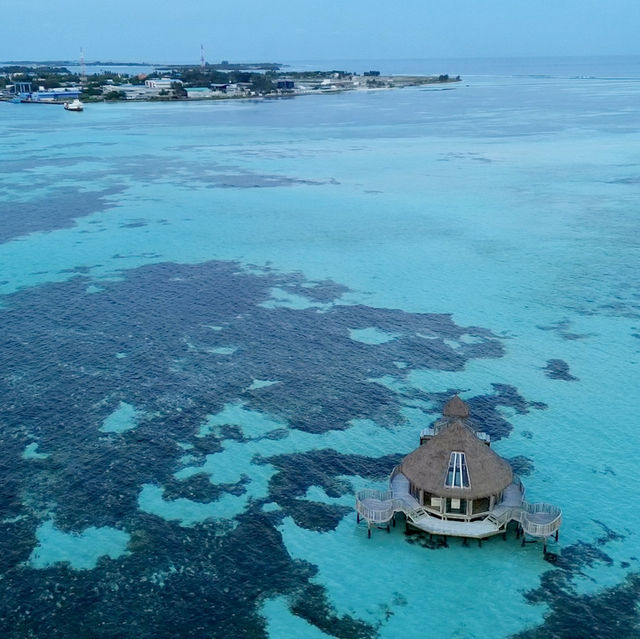 🏝️ Paradise found! Swaying palms, crystal waters, and endless sunsets — welcome to your dream escap 🏝️ Paradise found! Swaying palms, crystal waters, and endless sunsets — welcome to your dream escap
