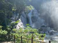 Lost in Kuang Si Paradise 💦🌿