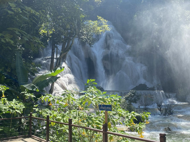 Lost in Kuang Si Paradise 💦🌿 Lost in Kuang Si Paradise 💦🌿