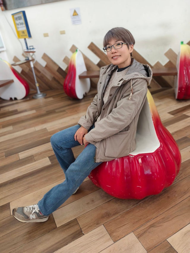 藍皮意象館——從枋寮車站出發的懷舊旅程