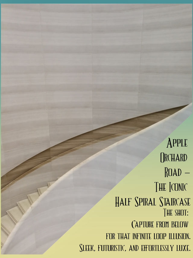 Art on the Streets🌆 A Visual Diary