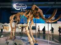 Exploring the Future at Miraikan, Tokyo’s Science Wonderland