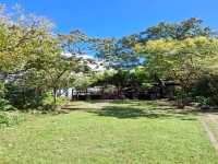 The Bright Fuzhou Shan Park in Da'an District, Taipei City, Taiwan