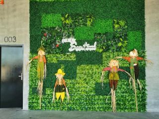 Double Surprise in the Rice Fields